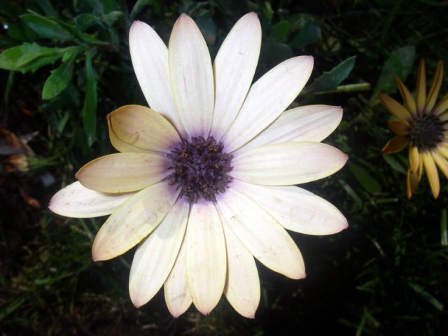 2010 05 24 jeanmarcperfetti.com 020.JPG